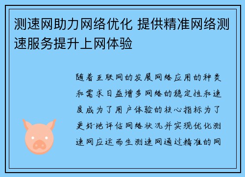 测速网助力网络优化 提供精准网络测速服务提升上网体验